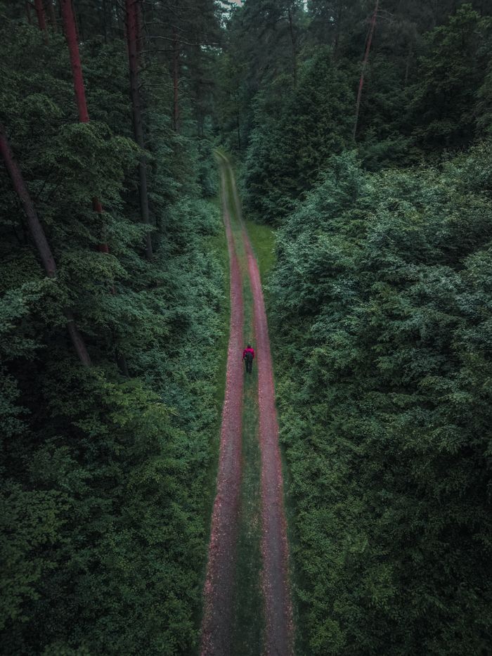 Aerial shot of a person walking on a remote forest path surrounded by lush greenery.