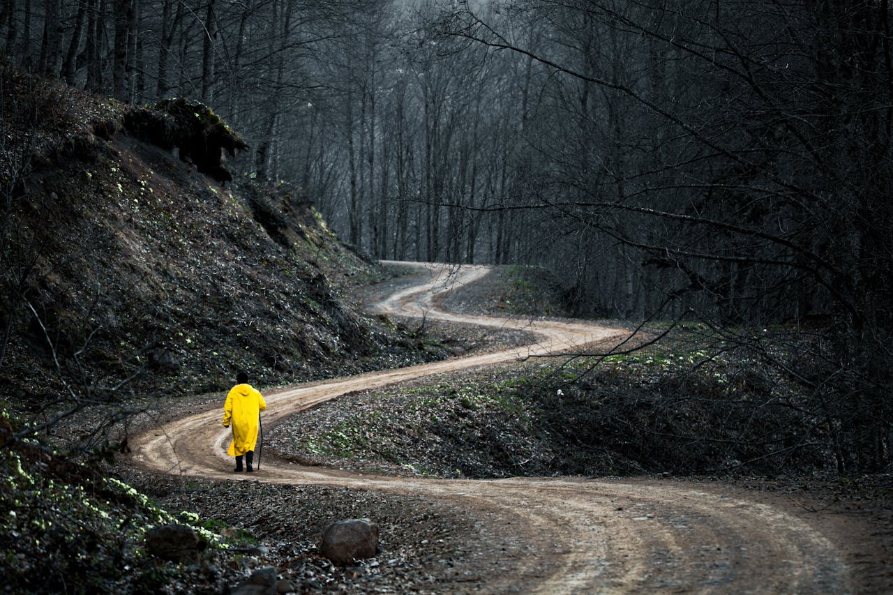 Person in a yellow jacket walks on a winding forest path in Ordu, Turkey.