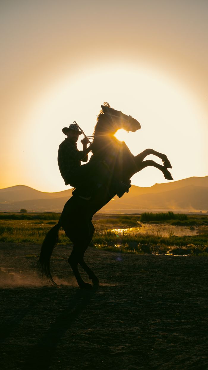 about-us A cowboy silhouette on a rearing horse against the golden sunset in Kayseri, showcasing nature's beauty.