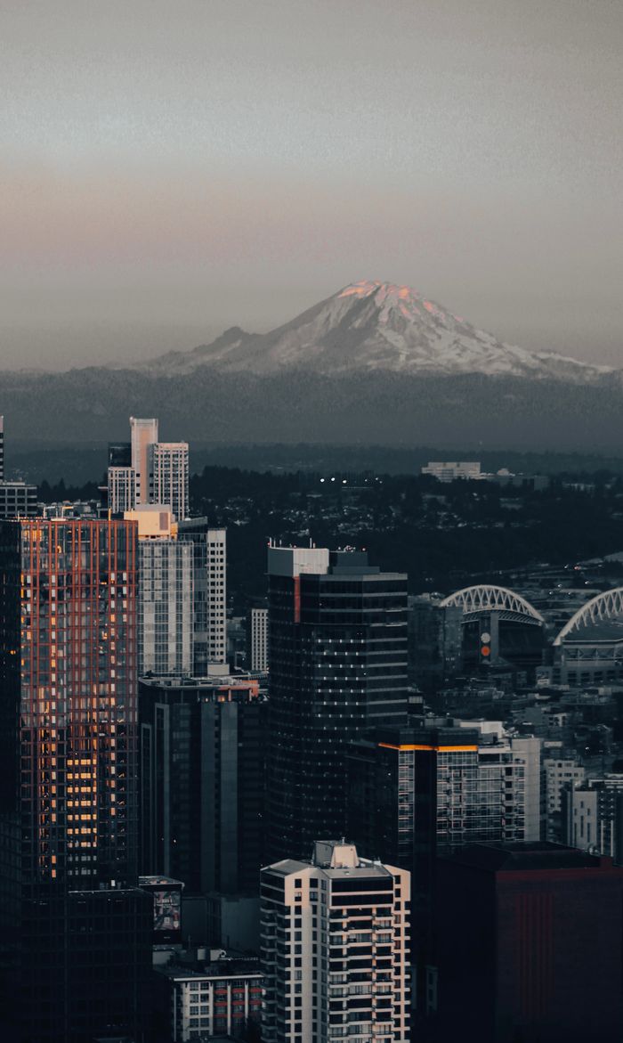 services-img A scenic view of Seattle's skyline with Mount Rainier in the background at dusk.